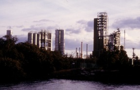 Plate 9: Industrial Beauty,  Camellia Estate Parramatta A.P. 1996 