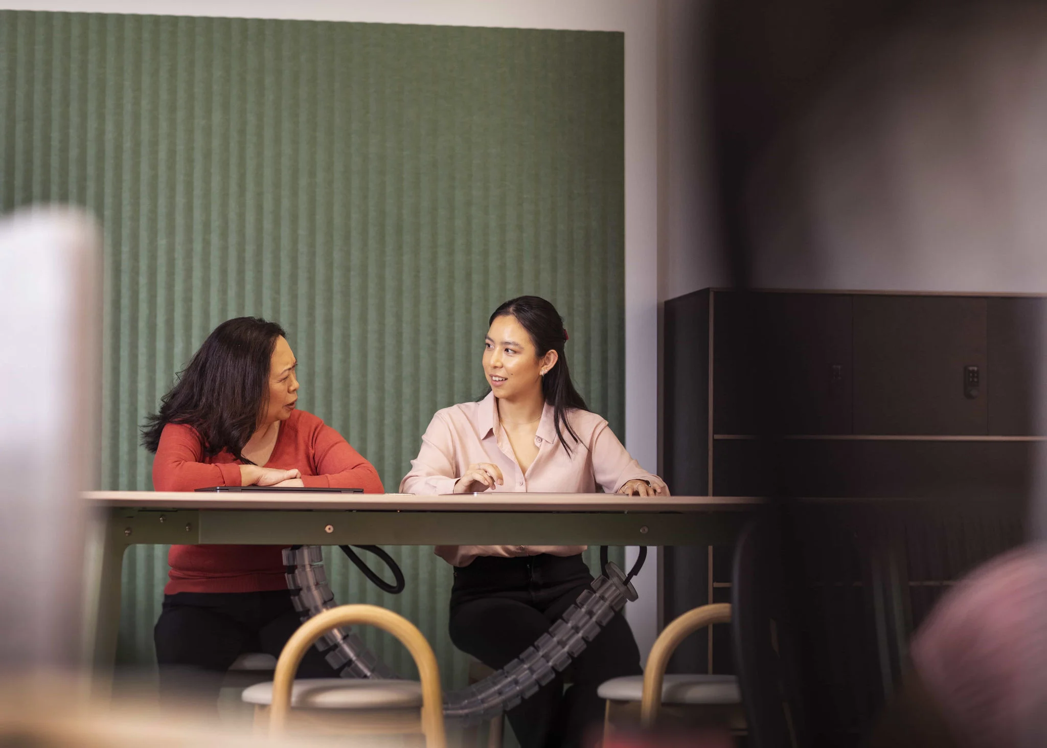Transition to a Bachelor degree
