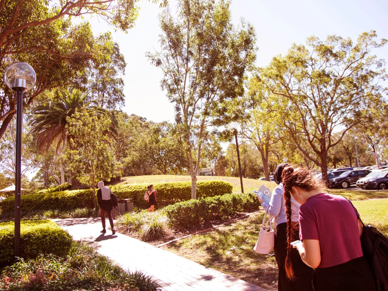 Information for Prospective Employees Western Sydney University The College,Why work at The College