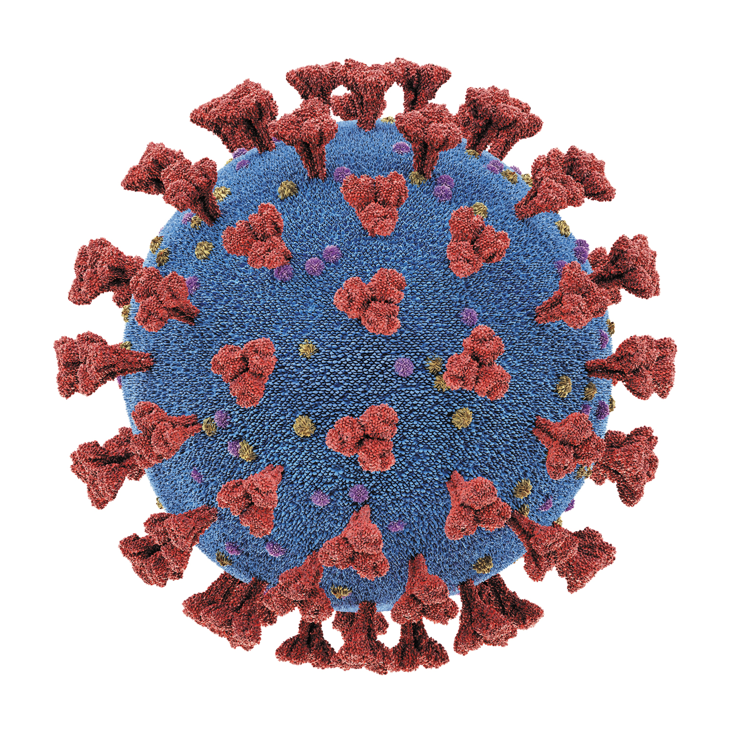 virus