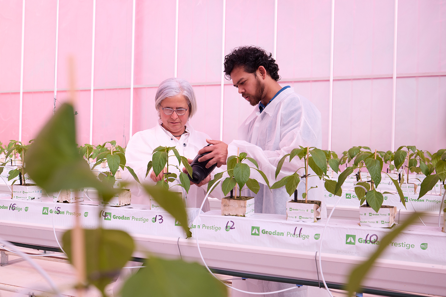 Researchers and plants