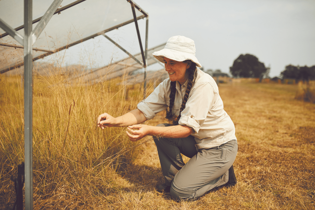 Belinda Medlyn at the Hawkesbury Institute for the Environment. 