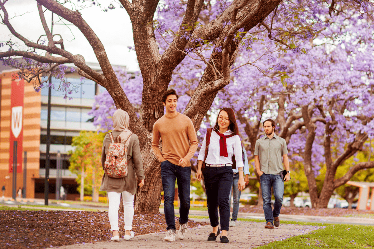 Students enjoying studying