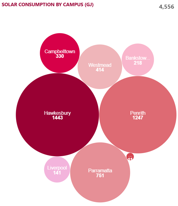 Solar generation and consumption CY2024
