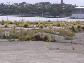 Plate 10: Places for Childhood Adventure, Sydney. A.P. 2008 
