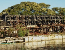 Plate 5: Disorder in the city Blackwattle Bay, Sydney A.P. 2008 