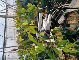 Fig 2 Perez