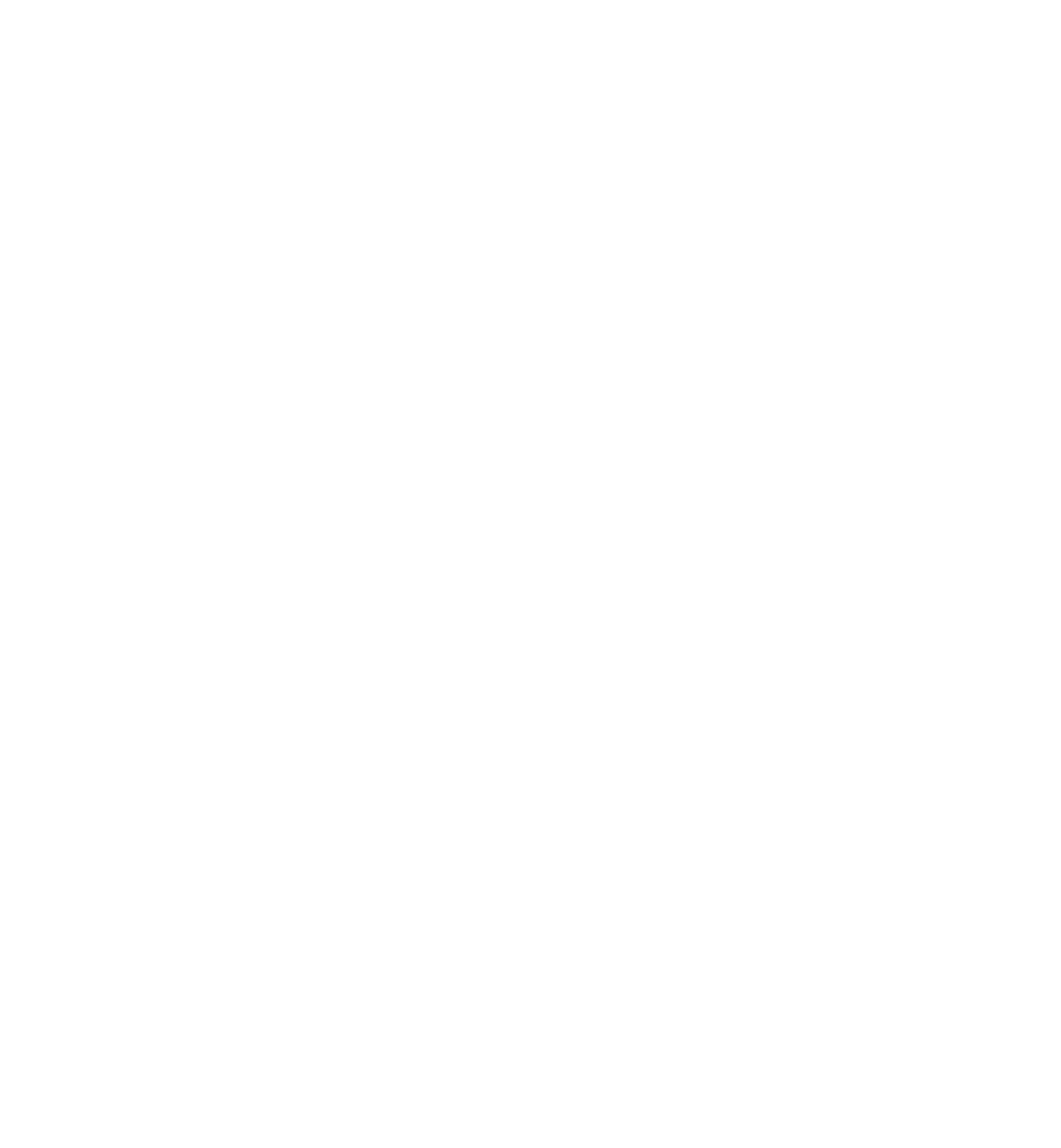 nsw-logo.png