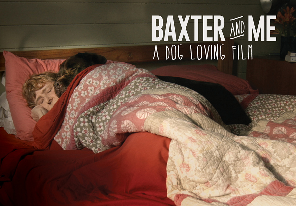 Baxter and Me